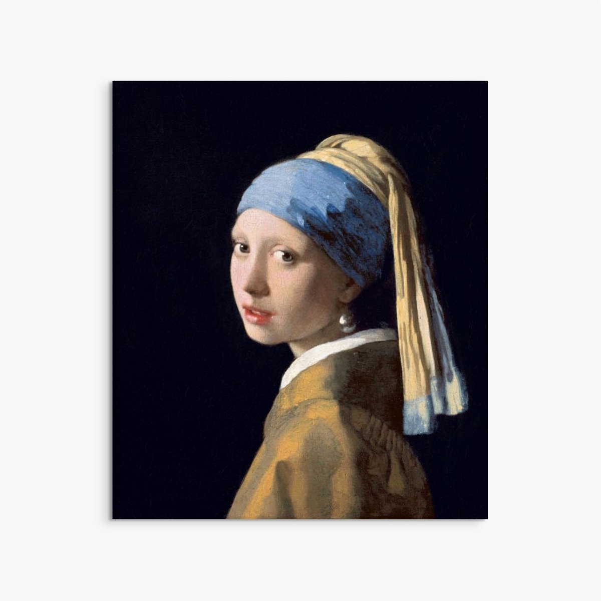 Girl with a Pearl Earring hand-painted oil painting in a room