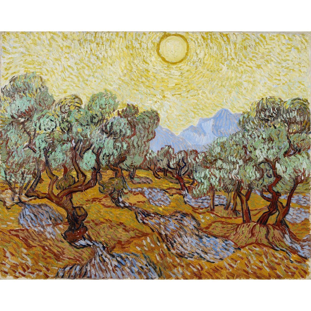 Olive Trees Vincent Van gogh ReplicArt Oil Painting Reproduction