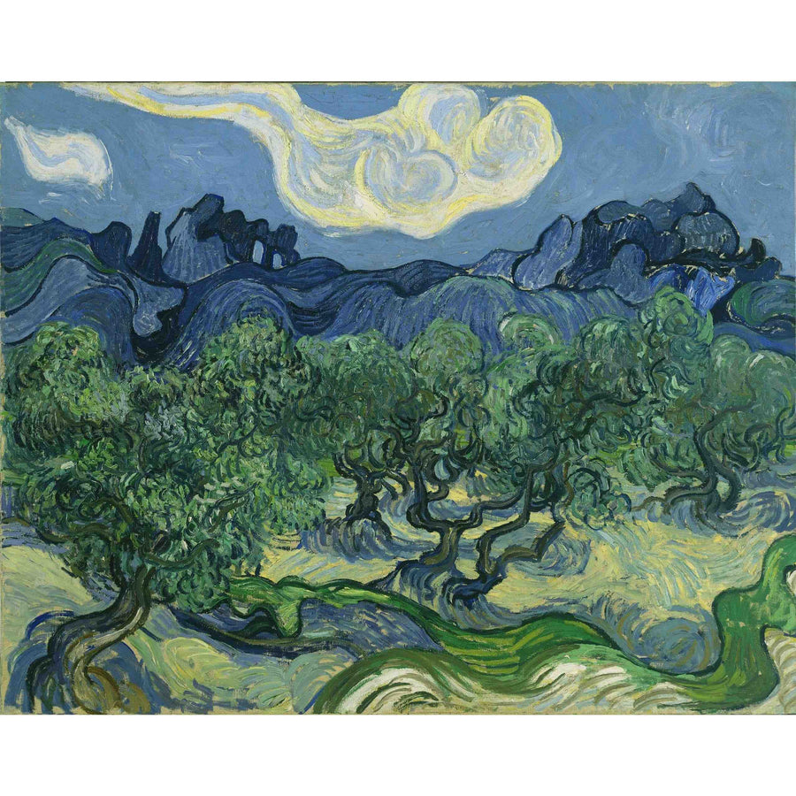 The Olive Trees Vincent Van gogh ReplicArt Oil Painting Reproduction