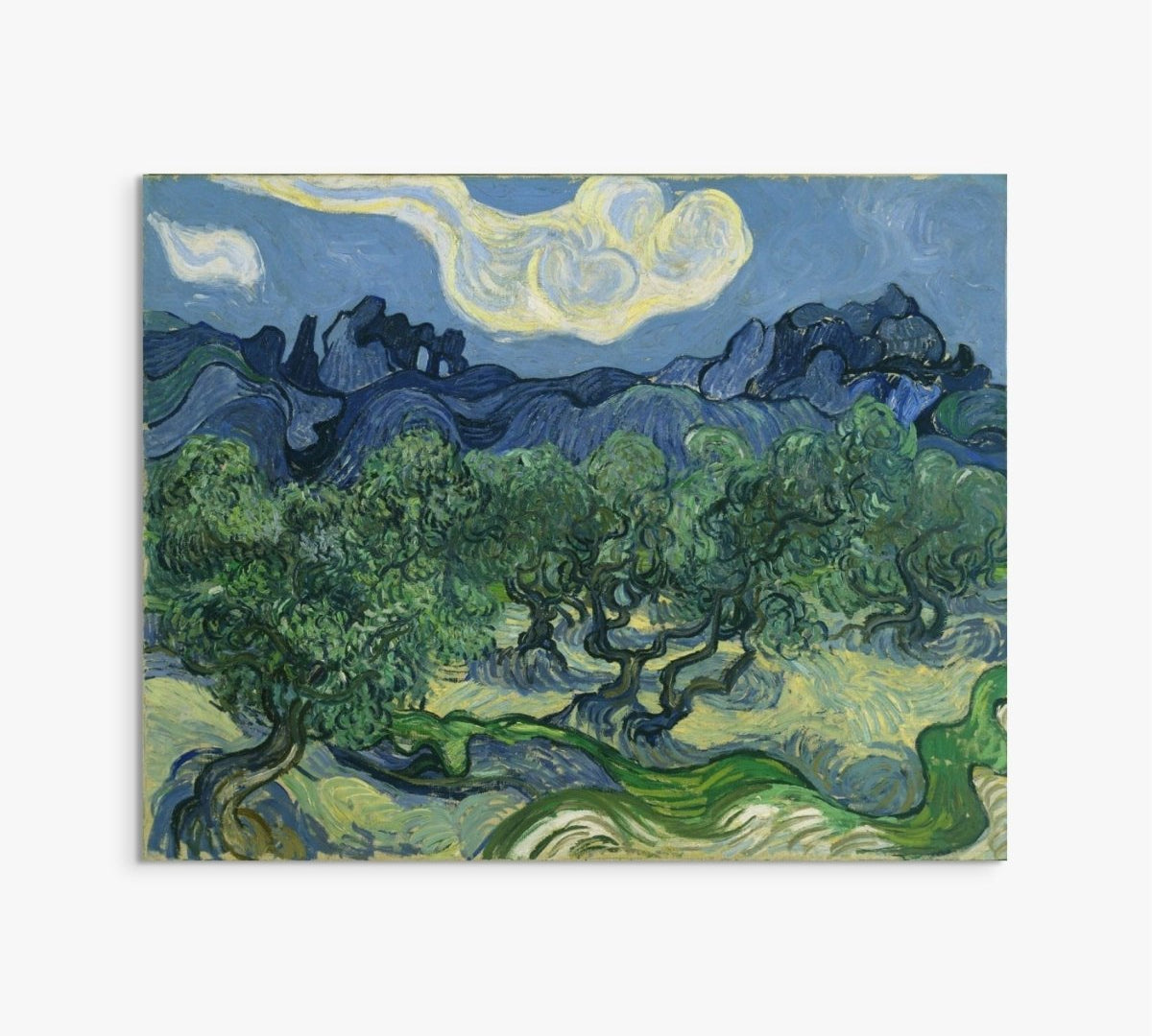 The Olive Trees Vincent Van gogh ReplicArt Oil Painting Reproduction