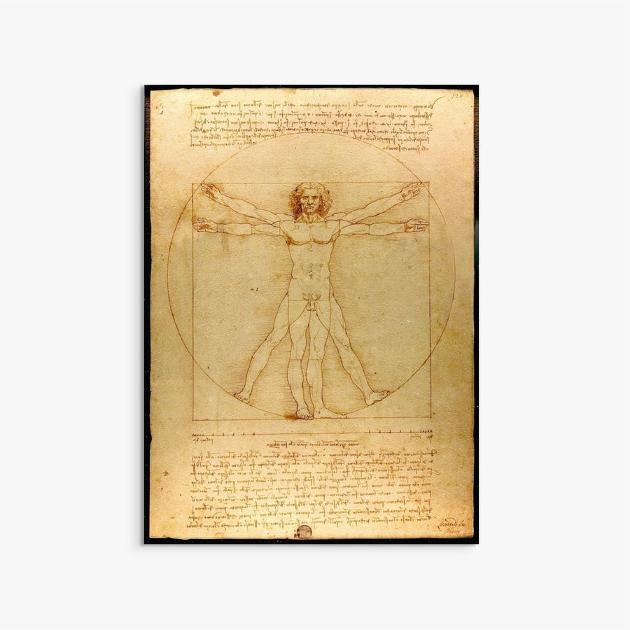 Vitruvian Man Leonardo Da Vinci ReplicArt Oil Painting Reproduction