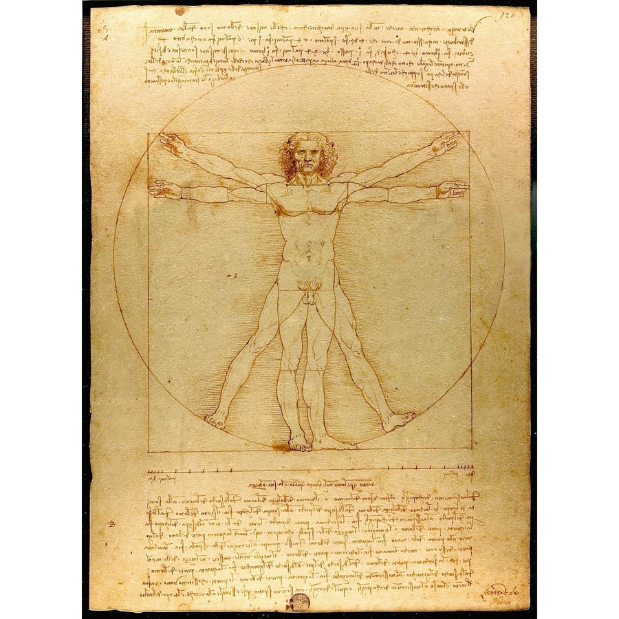 Vitruvian Man Leonardo Da Vinci ReplicArt Oil Painting Reproduction